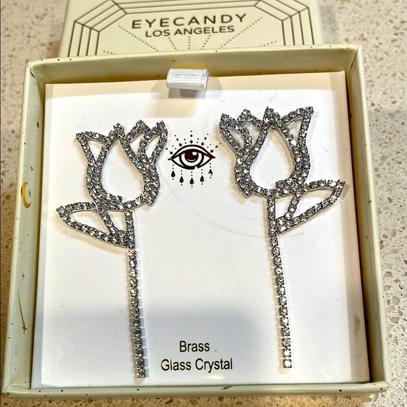 eye candy Jewelry - NIB Eye Candy Los Angeles Luxe Collection Glass Crystal Flower Earrings